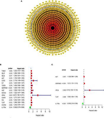 Effects of Inflammation on the Immune Microenvironment in Gastric Cancer